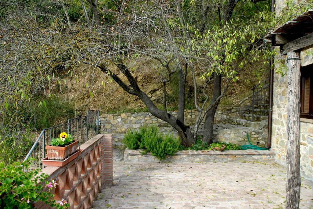 Podere Monte Petreto San Savino  الغرفة الصورة