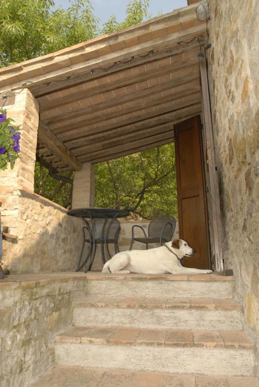 Podere Monte Petreto San Savino  الغرفة الصورة