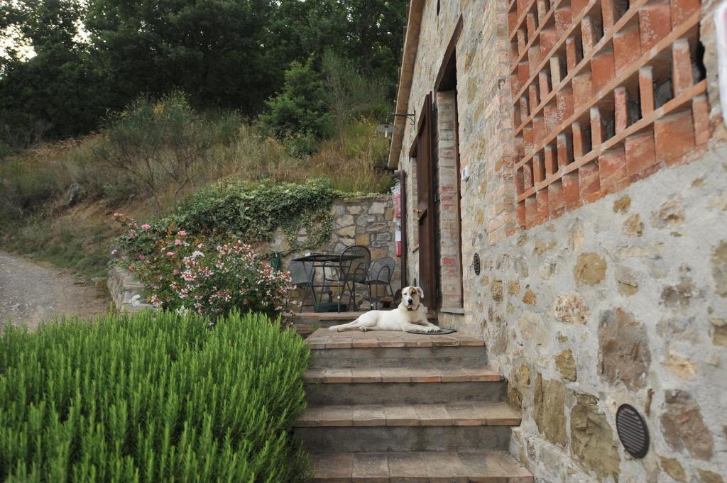 Podere Monte Petreto San Savino  الغرفة الصورة