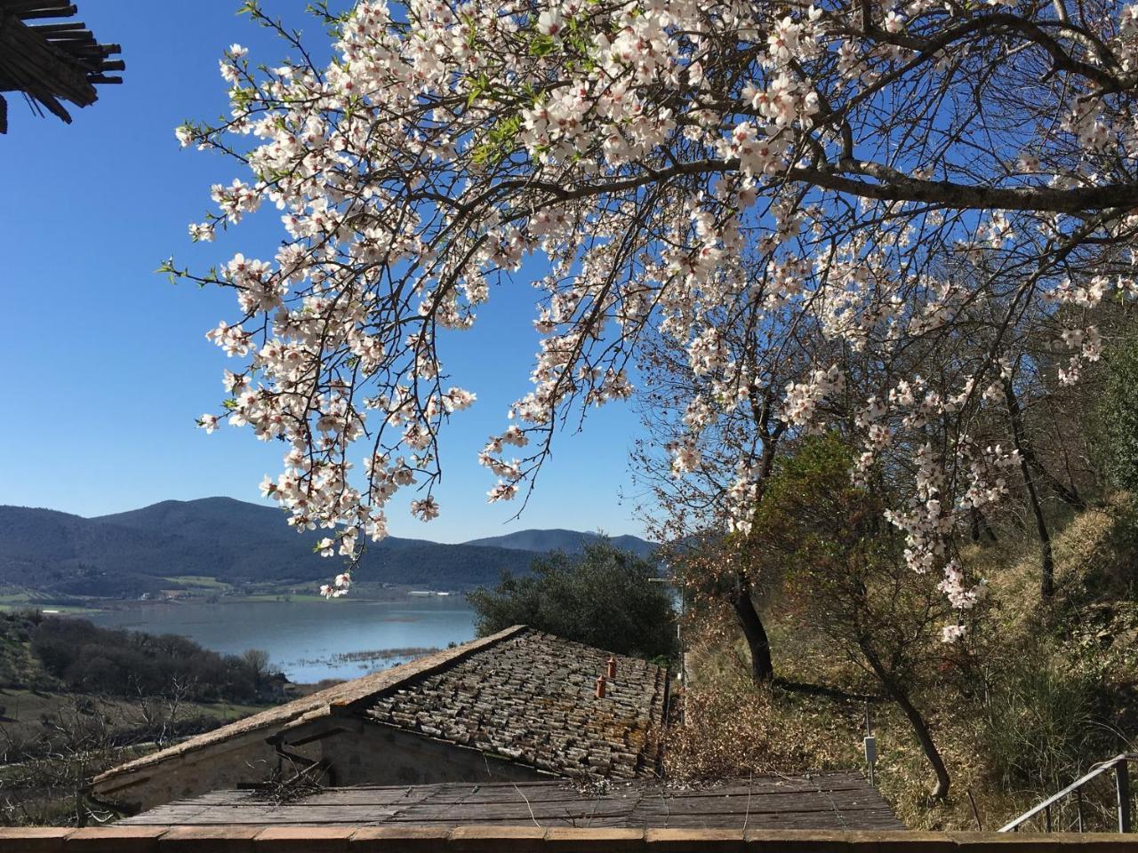 Podere Monte Petreto San Savino  المظهر الخارجي الصورة