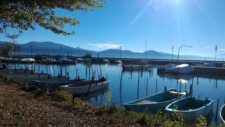 Podere Monte Petreto San Savino  المظهر الخارجي الصورة